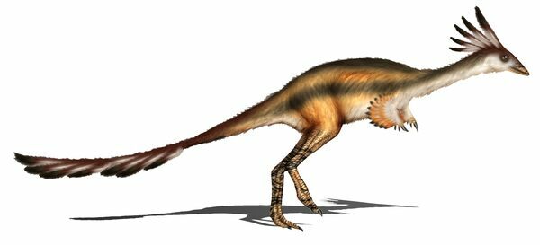 An artists reconstruction of Alvarezsaurus.  Creative Commons License